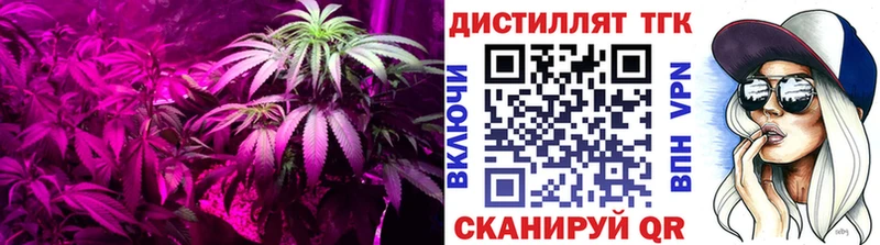 Дистиллят ТГК жижа  Купить  Котельнич 