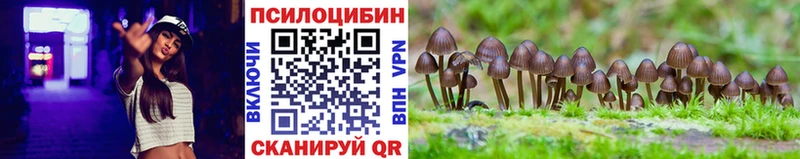 Купить  Котельнич  Галлюциногенные грибы GOLDEN TEACHER 
